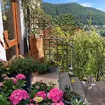Mit Weitblick Und Sauna דירה *