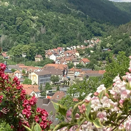 Mit Weitblick Und Sauna דירה