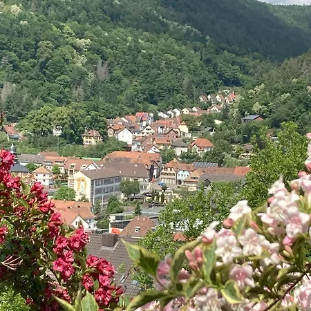 Mit Weitblick Apartament
