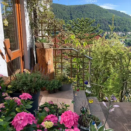Mit Weitblick Apartament *