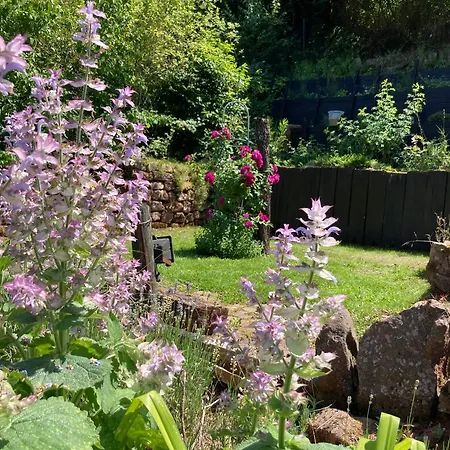 Mit Weitblick Lambrecht (Pfalz)