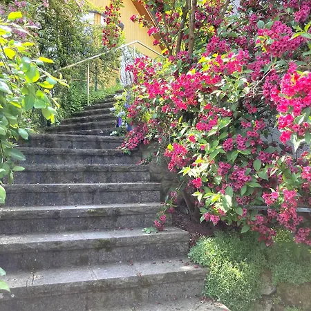 Mit Weitblick * Lambrecht (Pfalz)