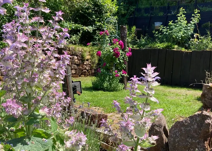 Mit Weitblick Lambrecht (Pfalz)