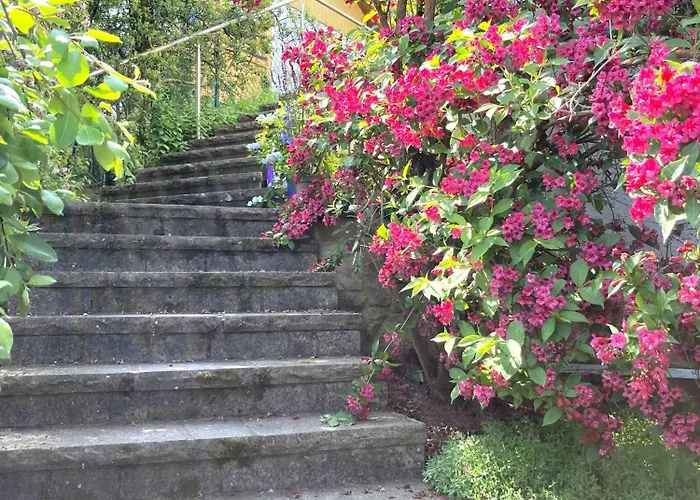 Mit Weitblick * Lambrecht (Pfalz)